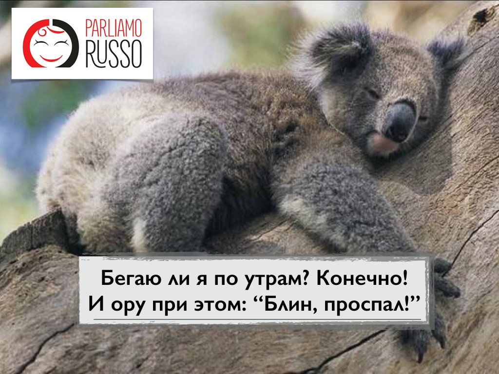 проспал.001